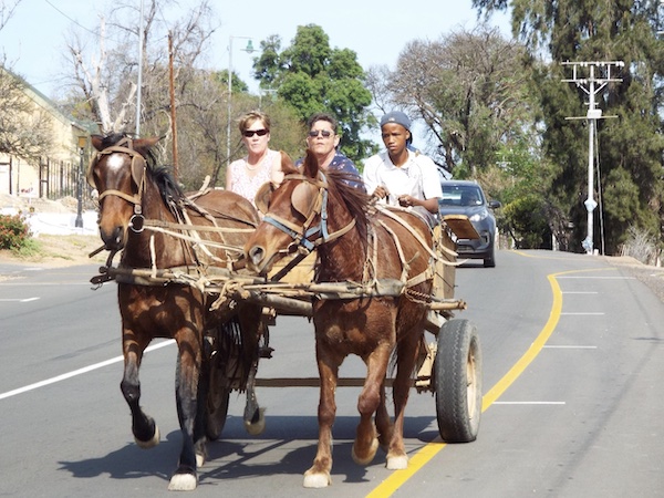 De Rust - everything from country traditions to fibre internet - June 2022