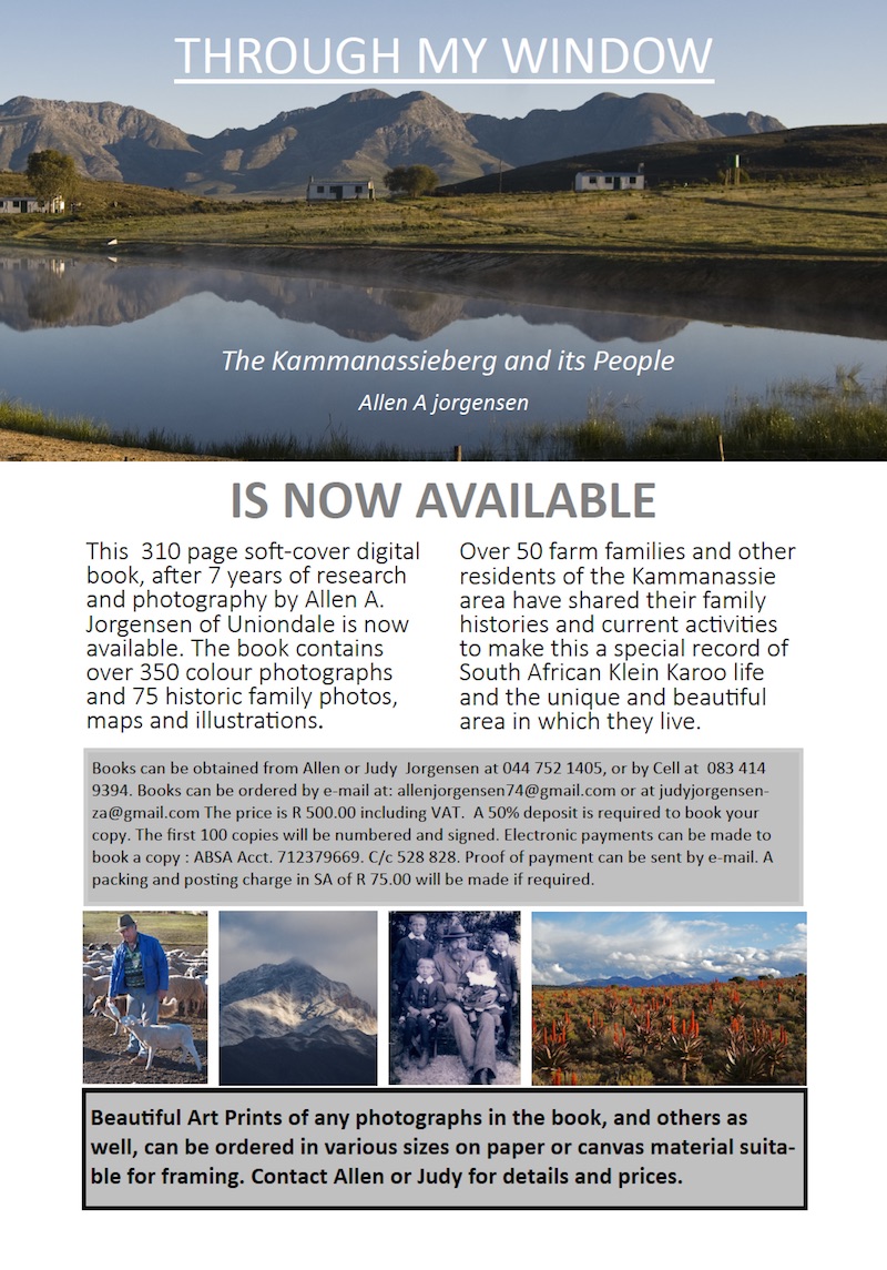 Through my Window...