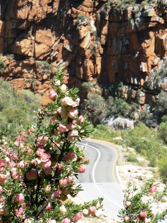 Looking down towards the road from the steps up to the Waterfall 