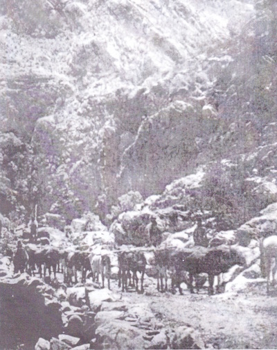 Ox wagon in Meiringspoort 1878 Ox wagon in Meiringspoort 1878